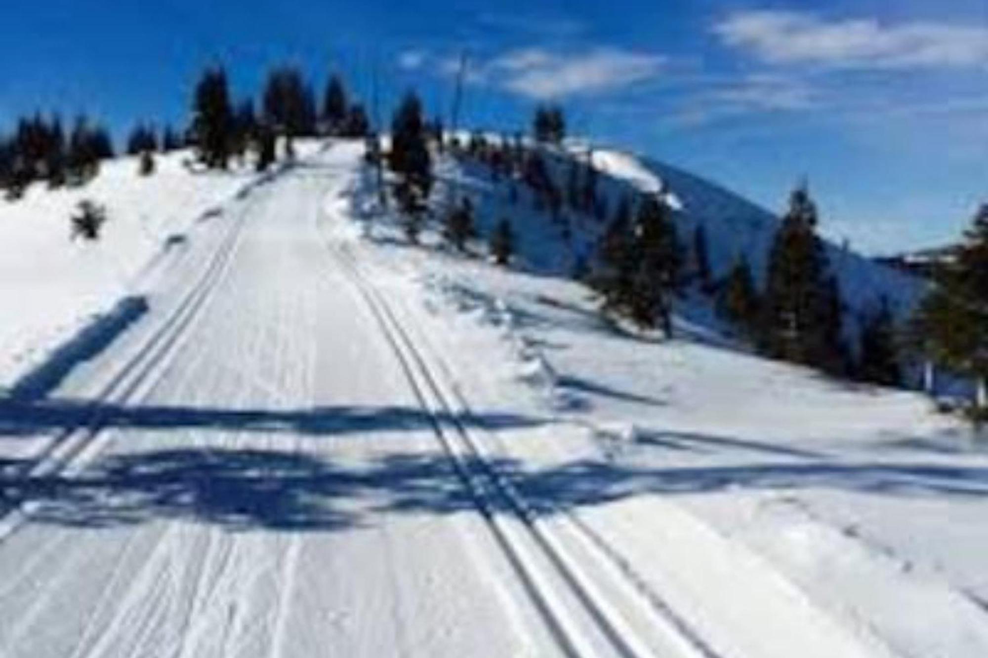 Moosetrack By Avantstay Cozy Cabin In The Of Tahoe Donner W Hot Tub Truckee Buitenkant foto